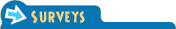 Surveys