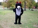 Big Wolf Mascot Costume
