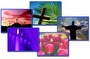 Worship Photos <i>Easter Celebration & Spring Joy</i> (Download Version)