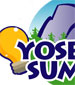 Yosemite Summit 2025 - Payment